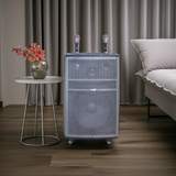 Loa kéo D570 Goldsound (Bass 40cm, 750w, kèm 2 Micro, pin 3-4H)