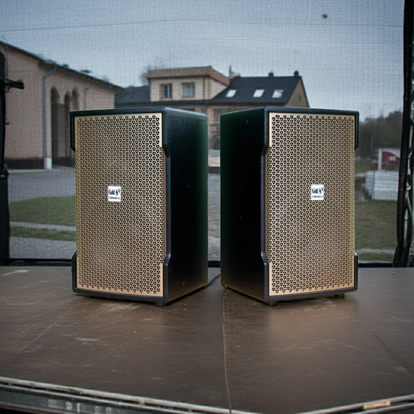 Loa Goldsound V238 phiên bản Gold (Số lượng 1 loa), công suất 238w, loa bass 30 cm, treble kèn, kích thước rộng 37 cm, cao 62 cm, sâu 37 cm, bảo hành dài hạn 5 năm.