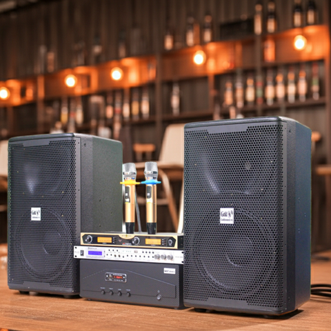 Dàn Karaoke Acoustic: 1 Amply A918 + 2 V238 + 1 vang + 2 Micro - Hàng trưng bày đồng giá cuối năm