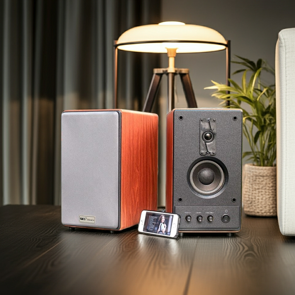 Loa vi tính HIFI Goldsound Gs51 Basic 4