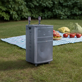 Loa kéo D560 Goldsound (Bass 40cm, 750w, kèm 2 Micro, pin 3-4H)