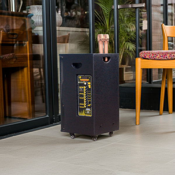 Loa kéo D550 Goldsound (Bass 40 cm, 550w, kèm 2 Micro)