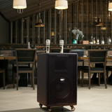 Loa kéo D750 Goldsound (Bass 30cm, kèm 2 Micro, pin sạc) chơi tốt ở mọi không gian: Gia đình, quán cafe, cửa hàng, khu vui chơi, lớp học, trung tâm đào tạo, các buổi dã ngoại, party, những buổi biểu diễn đường phố