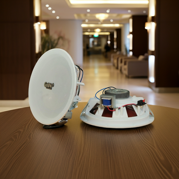 Loa âm trần VAT47 (47w, có gắn biến áp) chuyên cho trung tâm thương mại, khách sạn, toà nhà văn phòng, chung cư, siêu thị, quán cafe, nhà hàng, spa...