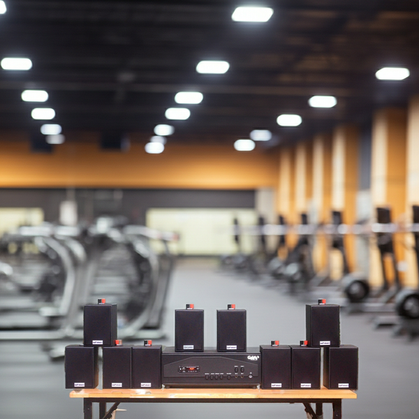 Loa thông báo phát nhạc nền tự động Gold4cafe 10.0 bản màu đen (01 amply + 10 loa), Amply 1200w - 2 vùng âm lượng, loa được thiết kế riêng cho quán, bật lớn không tạp âm, bảo hành dài hạn 5 năm.