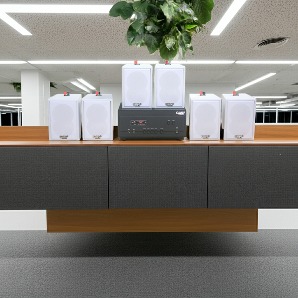 Loa treo tường thông báo, phát nhạc nền tự động A907PU-2K Goldsound 2 vùng âm lượng 900w + 6 loa Goldsound V25C màu trắng, loa được thiết kế riêng cho quán, bật lớn không tạp âm, miễn phí công lắp đặt, bảo hành dài hạn 5 năm.