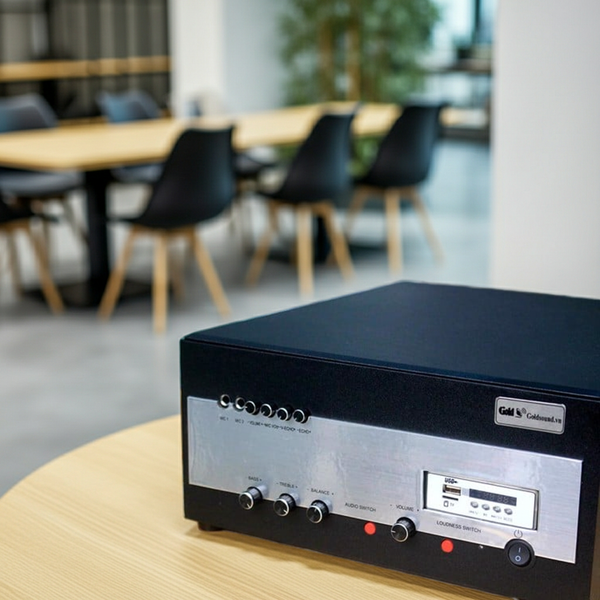 Amply Goldsound A900 Goldsound (công suất 900w, 2 phân vùng đầu ra, đủ kết nối Bluetooth, RCA, AV, USB)