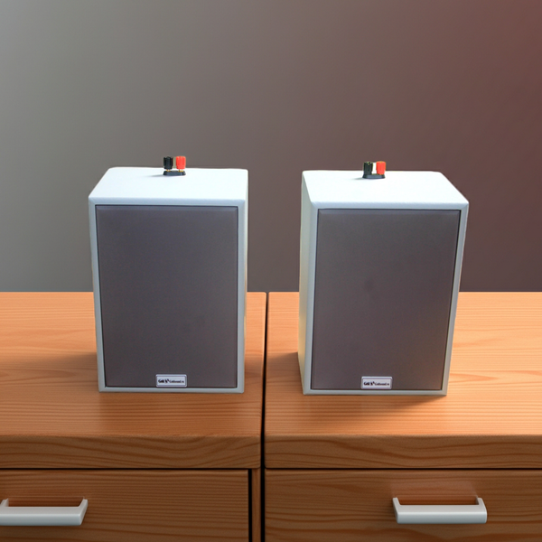 Loa trường học Gold4Edu E63M