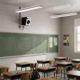 Loa trường học Gold4Edu E77M