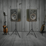Loa sân khấu, hội thảo, hội nghị, phòng họp, hội trường C255 Gold4Acoustic (số lượng 1 loa): công suất 255w, loa bass 30 cm, loa mid 14.5 cm, treble 10 cm, kích thước rộng 38 cm, cao 57 cm, sâu 32 cm, bảo hành dài hạn 5 năm.