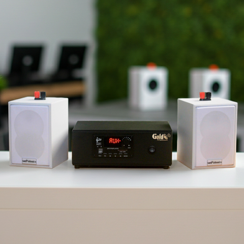 Dàn loa treo tường thông báo phát nhạc nền: 1 Amply A2.0 + 2 loa treo tường thông báo phát nhạc nền tự động V12, Amply, loa được thiết kế riêng cho quán, bật lớn không tạp âm, bảo hành dài hạn 5 năm.