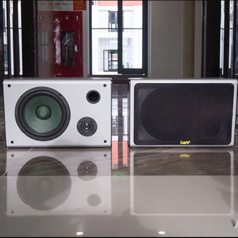 Loa trường học Gold4Edu W300