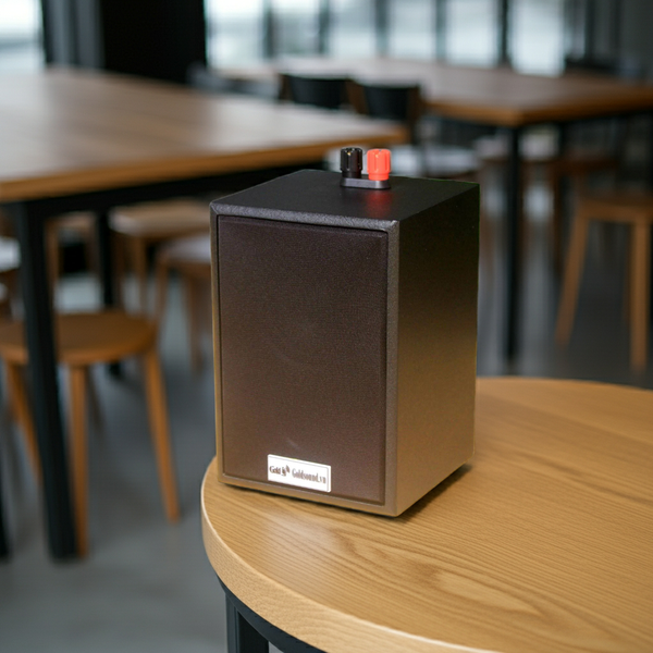 Loa vệ tinh treo tường Goldsound V12 Gold4cafe (1 loa) - công suất 12w, củ loa toàn dải cả âm Bass &Tress 3 inch, loa được thiết kế đập chậm để phù hợp với style quán dịch vụ, kích thước (Rộng*Cao*Sâu): 13*18*12.5 cm; chất liệu thùng gỗ 100%