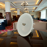 Loa âm trần VAT47 (47w, có gắn biến áp) chuyên cho trung tâm thương mại, khách sạn, toà nhà văn phòng, chung cư, siêu thị, quán cafe, nhà hàng, spa...