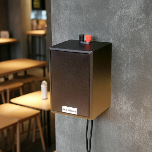 Loa hộp treo tường Goldsound V12 Gold4cafe (1 loa) - công suất 12w, củ loa toàn dải cả âm Bass &Tress 3 inch, loa được thiết kế đập chậm để phù hợp với style quán dịch vụ, kích thước (Rộng*Cao*Sâu): 13*18*12.5 cm; chất liệu thùng gỗ 100%
