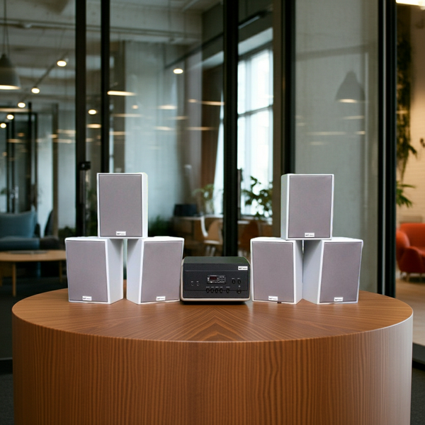 Dàn loa treo tường thông báo phát nhạc nền tự động: Amply A917 + 6 V70C