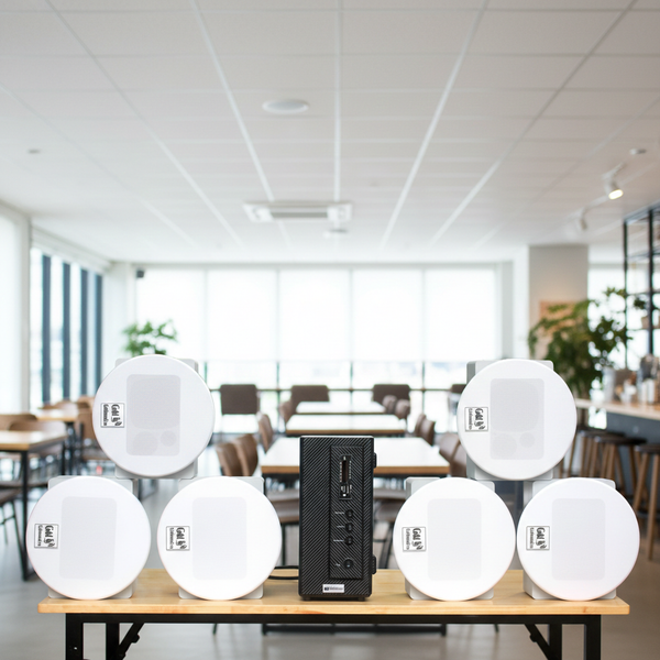 Loa âm trần thông báo, phát nhạc nền tự động: AMT155 Goldsound 150w + 6 loa âm trần Goldsound VAT38 38w, loa được thiết kế riêng cho quán, bật lớn không tạp âm, miễn phí công lắp đặt, bảo hành dài hạn 5 năm