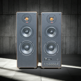 GoldHifi phiên bản mới - 2 cổng Mic