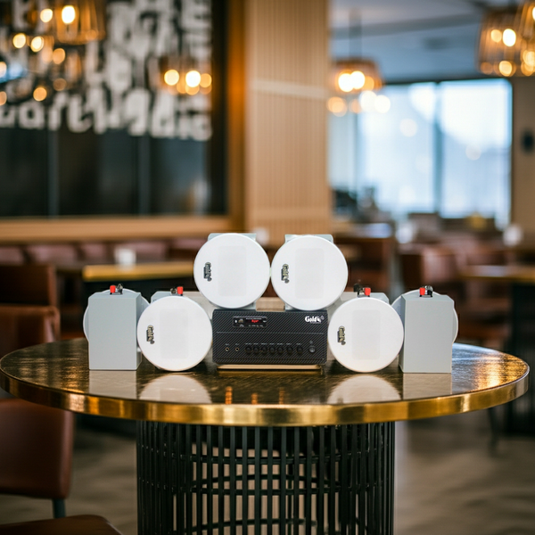 [Diện tích 100m2 + 2 Kênh] Loa thông báo, loa phát nhạc nền tự động Gold4cafe DA 6.0 (01 amply + 06 loa âm trần), Amply 2 vùng âm lượng, loa được thiết kế riêng cho quán, bật lớn không tạp âm, bảo hành dài hạn 5 năm.