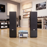 Dàn loa cây V390-A800 vân gỗ (gồm 1 Âm ly A800 + 2 loa cây V390)