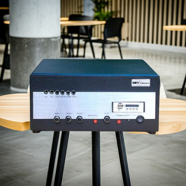 Amply Goldsound A900 Goldsound (công suất 900w, 2 phân vùng đầu ra, đủ kết nối Bluetooth, RCA, AV, USB)