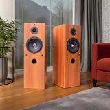 Dàn loa cây karaoke gia đình: V610 Black (01 âm ly 370w + cặp loa V610)