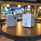 Loa âm trần VAT20 tích hợp 1 củ loa bass kích thước 4 inch