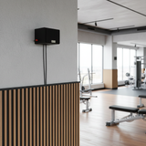 Loa vệ tinh V22 - 22w