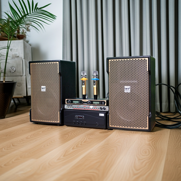 Hàng trưng bày: Dàn 1 Amply A918 + 2 V238 Gold + 1 vang + 2 Micro