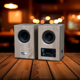 Loa bluetooth HiFi 2.0 GS51 Pro Goldsound (100w, Bluetooth 5.0, AUX, USB)