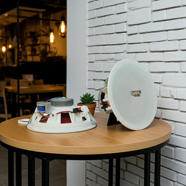 Loa âm trần VAT27 (28w, có gắn biến áp) chuyên cho trung tâm thương mại, khách sạn, toà nhà văn phòng, chung cư, siêu thị, quán cafe, nhà hàng, spa...