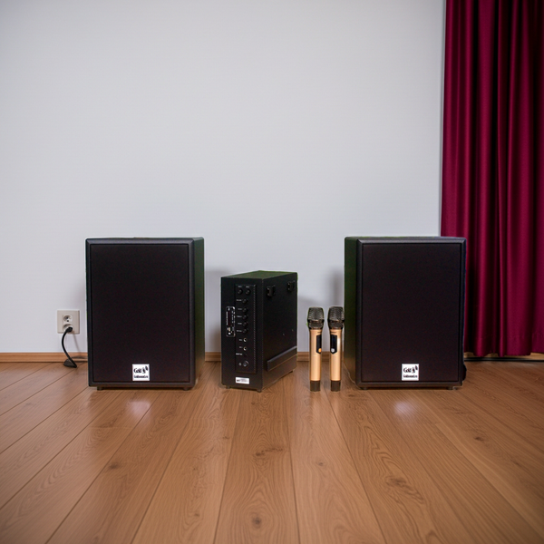 Dàn loa hát karaoke gia đình M230mi (Amply 900w + Loa 230 + 2 Micro không dây)