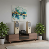 Dàn loa cây karaoke gia đình V610 Grand ( 01 âm ly 380w + cặp V610)