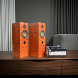 Dàn loa cây karaoke gia đình V610