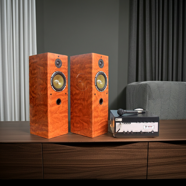 Dàn loa cây karaoke gia đình V610