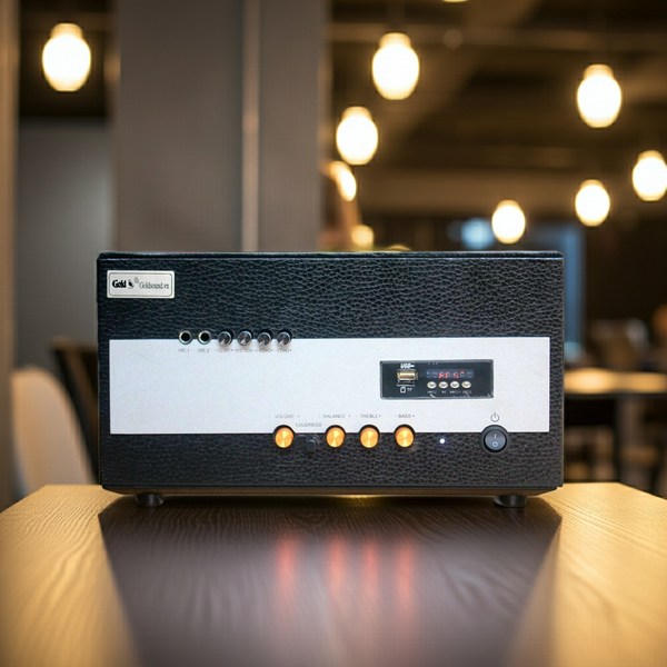 Âm ly A1100 (1100w) Goldsound