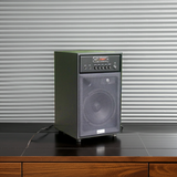 Loa karaoke Bluetooth W242 (giá không micro)