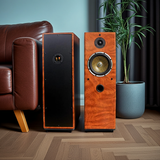 Dàn loa cây karaoke gia đình V610