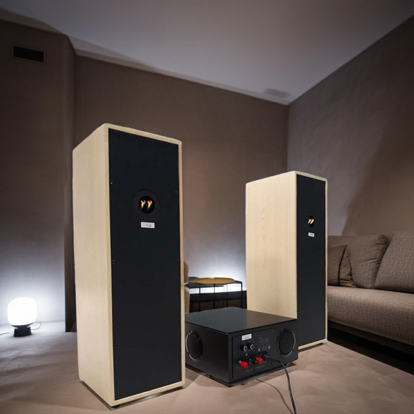 Dàn loa cây karaoke gia đình V610 Grand ( 01 âm ly 380w + cặp V610)