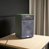 Loa karaoke Bluetooth W242 (giá không micro)