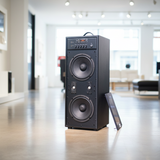 Loa đa năng Bluetooth W271 - hát karaoke, nghe nhạc siêu lớn