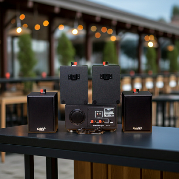 Dàn loa treo tường: Amply A156PU Goldsound 200w + 4 loa Goldsound V24c - 24w, loa được thiết kế riêng cho quán, bật lớn không tạp âm, bảo hành dài hạn 5 năm.