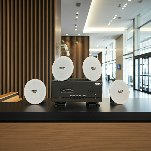 Dàn loa âm trần thông báo, phát nhạc nền tự động: A907PU-2K Goldsound 2 vùng âm lượng 900w + 4 loa âm trần VAT14, loa được thiết kế riêng cho quán, bật lớn không tạp âm, miễn phí công lắp đặt, bảo hành dài hạn 12 tháng