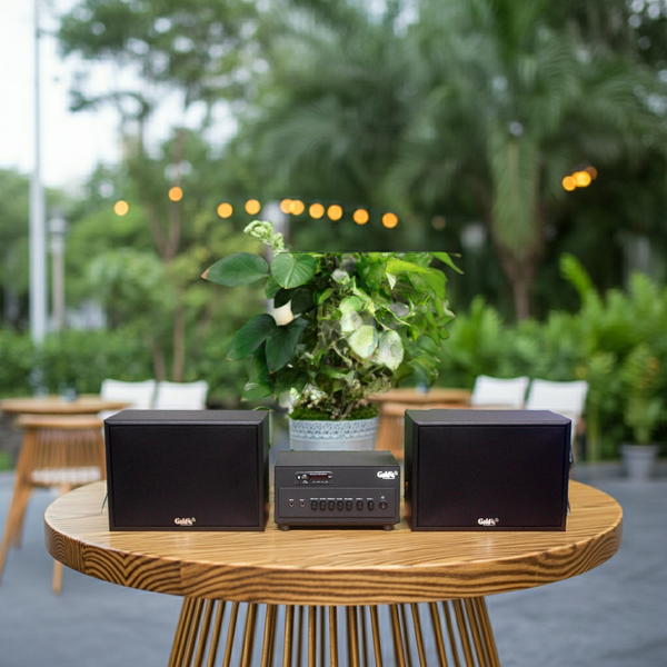 Dàn loa treo tường: Amply A384PU - 2K Goldsound 2 vùng âm lượng 380w + 2 loa Goldsound V130 - 130w, loa được thiết kế riêng cho quán, bật lớn không tạp âm, miễn phí công lắp đặt, bảo hành dài hạn 5 năm.