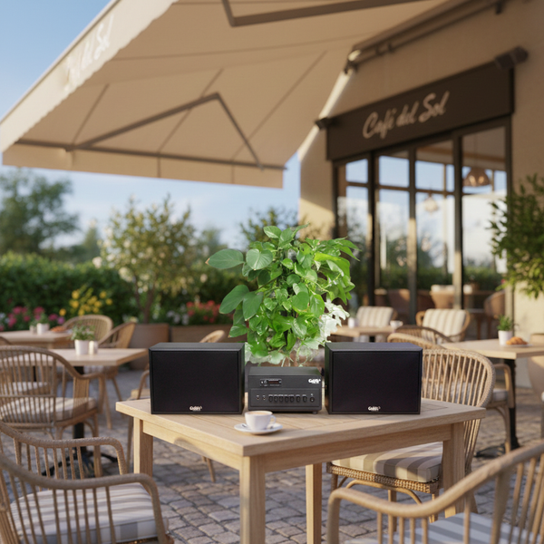 Dàn loa treo tường: Amply A384PU - 2K Goldsound 2 vùng âm lượng 380w + 2 loa Goldsound V130 - 130w, loa được thiết kế riêng cho quán, bật lớn không tạp âm, miễn phí công lắp đặt, bảo hành dài hạn 5 năm.