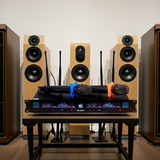 Micro không dây NS M3