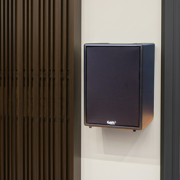 Loa V230 Goldsound (Số lượng 1 loa) công suất 200w, loa bass 25 cm, treble 10 cm, kích thước rộng 32 cm, cao 47 cm, sâu 31 cm, bảo hành dài hạn 5 năm.