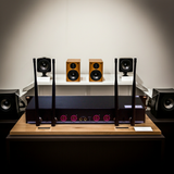 Micro không dây NS M3