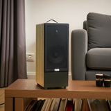 Loa KARAOKE D385, công suất 80w, bass 20 cm, treble, bluetooth 5.0, cổng cắm Micro, cổng rca, khe usb, thiết kế loa thùng gỗ cao 63 cm, rộng 25 cm, sâu 31 cm. Bảo hành 12 tháng