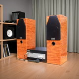 Dàn loa cây karaoke gia đình V610